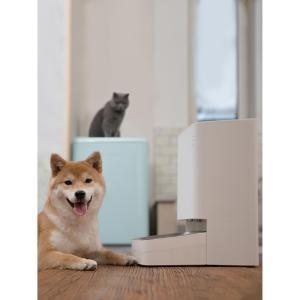 Dispenser cibo smart