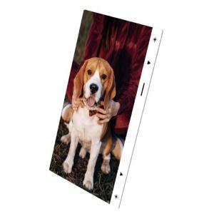 Pellicole back GB014 20x per stampanti per Hoco copertura posteriore (no bordi)